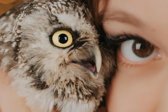 بلاي فورتونا كازينو الدعم